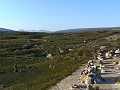 Nordkap 2009 462